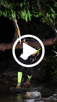 BIB:  <button type="button" onclick="openModal(27825895)" class="btn btn-primary btn-sm float-right" data-toggle="modal" data-target=".modal-high-quality">
                <i class="fa fa-download"></i> Download
                </button>